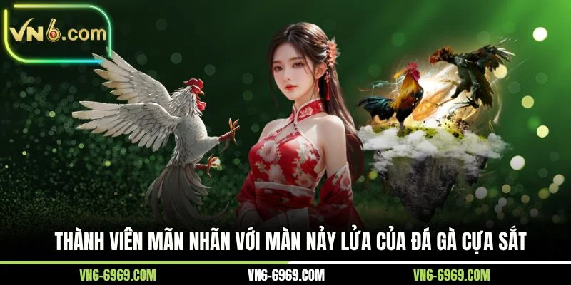 Thành viên mãn nhãn với màn nảy lửa của đá gà cựa sắt