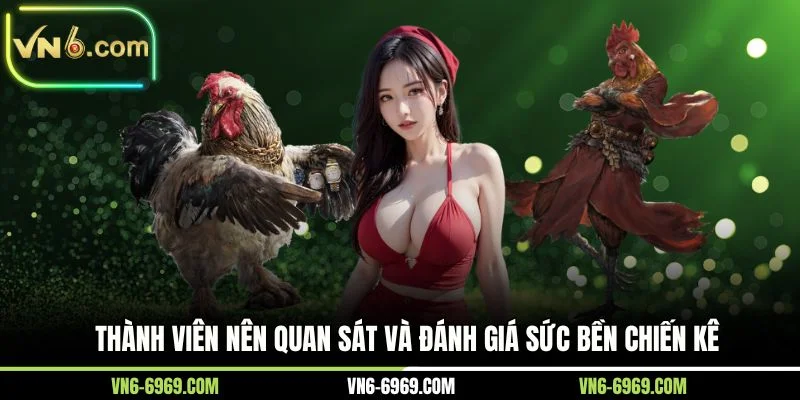 Thành viên nên quan sát và đánh giá sức bền chiến kê